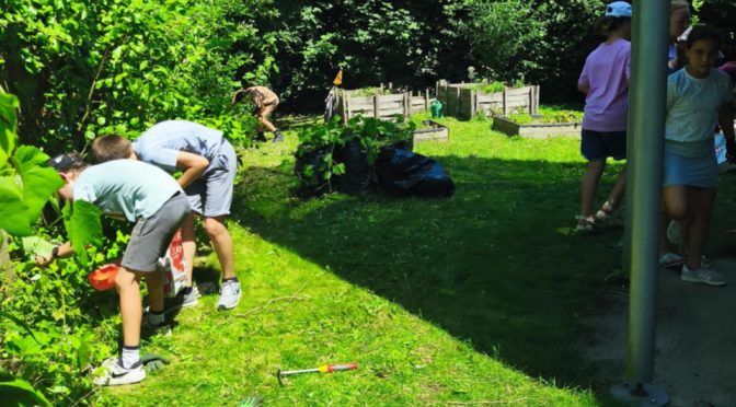 C’est un jardin… extraordinaire (P5-P6)