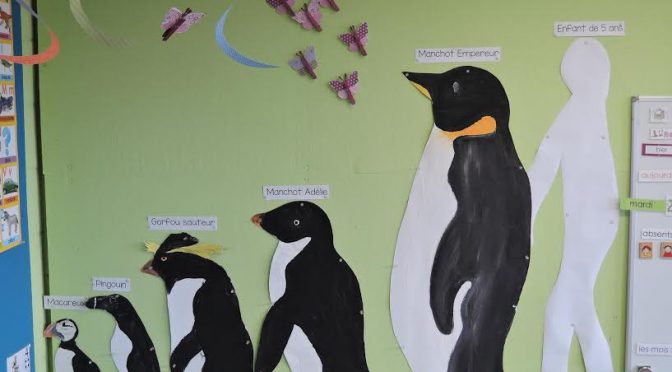 Découverte des Pôles en 3ème maternelle