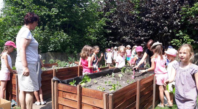 Le jardin prend forme!
