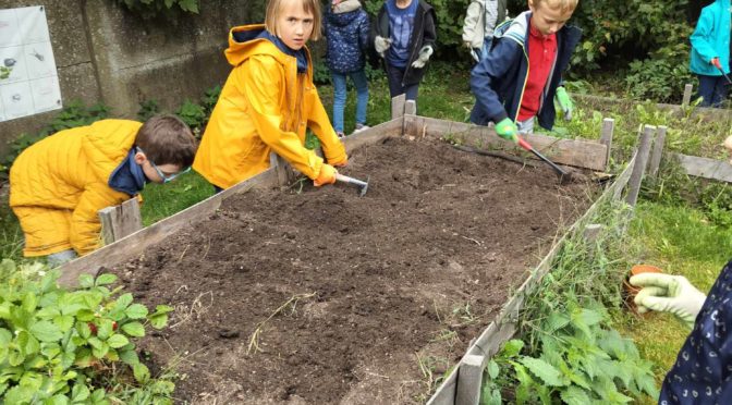 Petits jardiniers en herbe!